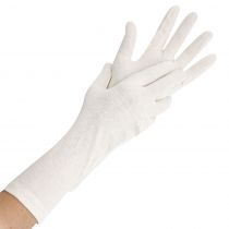 Hygo Star Nature Solid Long Cotton Gloves, Natural, 25 x 24 Pieces