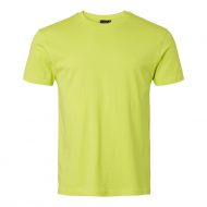 Top Swede 239 T-skjorte, Lime, 1 stk